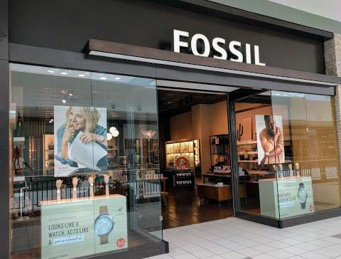 Fossil Store Fossil Store